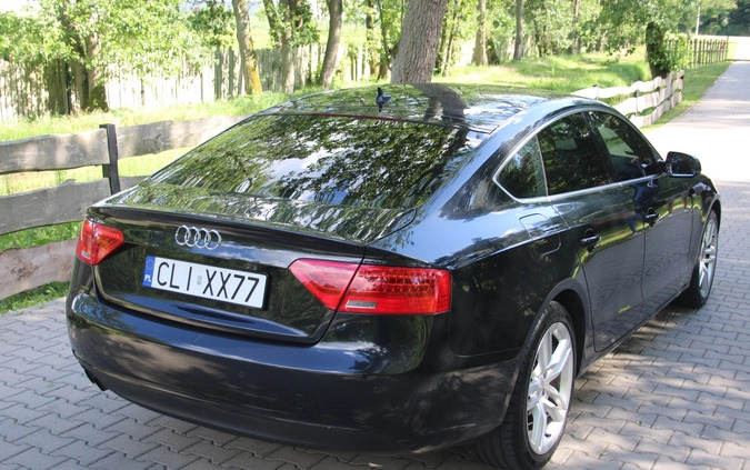 Audi A5 cena 65900 przebieg: 189342, rok produkcji 2013 z Lipno małe 254